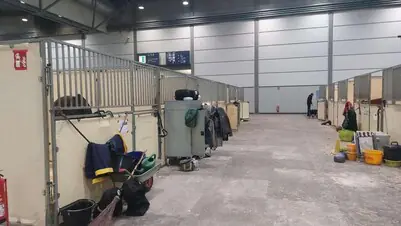 Pferdeboxen auf einer Messe