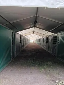 gruene Boxen2.jpeg